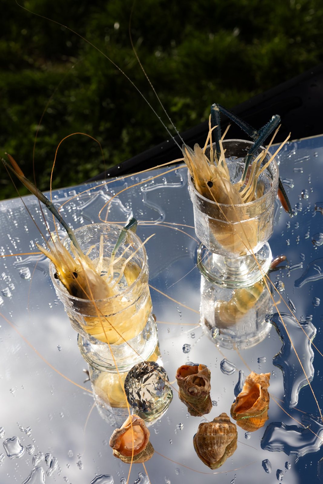 Georgian Royal Shrimp
